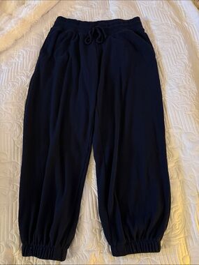 Gilly Hicks Navy Drawstring Joggers